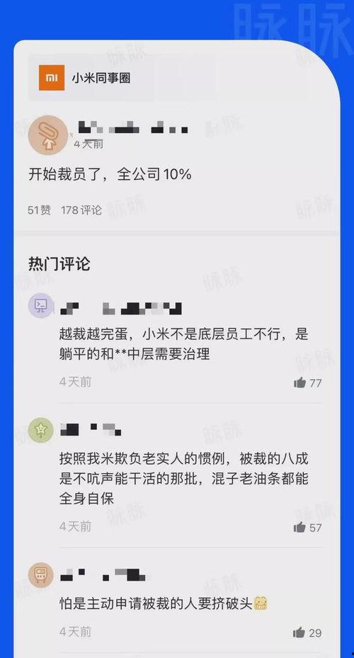 小米员工最新爆料消息,揭秘公司最新动态与未来规划！”  第2张