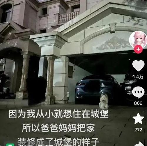 武汉住宅爆料事件视频曝光,揭露楼顶违建背后的真相  第3张