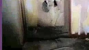 探险废弃老宅的爆料视频,探寻隐藏在岁月尘埃中的神秘往事  第3张