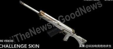 pubg通行证爆料最新,最新Pubg通行证爆料，带你领略游戏新篇章  第2张