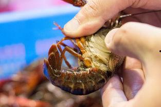 娱乐圈爆料小龙虾,小龙虾事件背后的真相揭秘  第3张